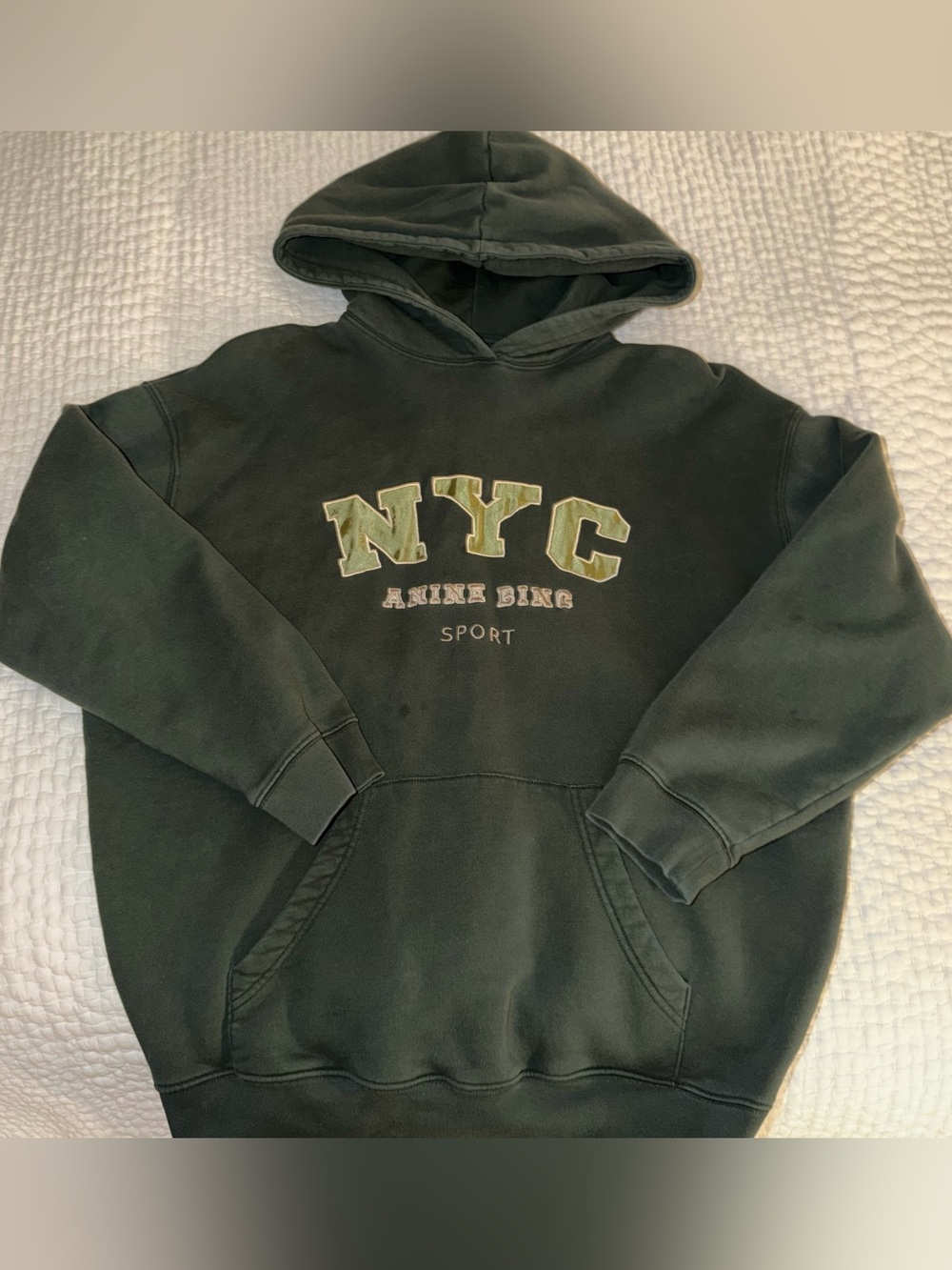 anine bing vintage hoodie in charcoal green